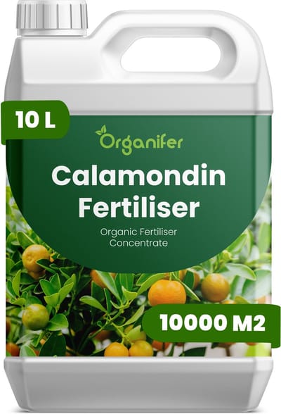 Vloeibare Meststof Voor Calamondin 10 L Voor 10000 M2- Npk 2-1-8 - Calamondin Citrus - Krachtige Groei - Bloei - Vruchtzetting - Rijke Oogst - Sterk Wortelstelsel - Stressbestendi - Lange Bloeiperiode - Organifer