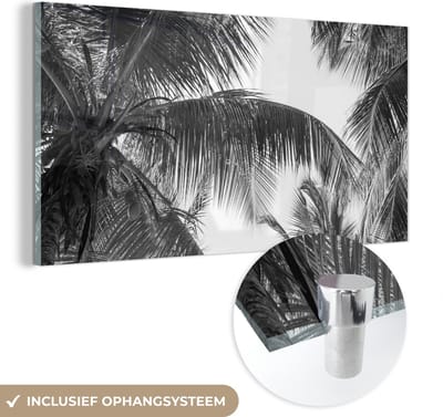 MuchoWow® Glasschilderij 40x20 cm - Schilderij acrylglas - Palmbladeren - Vintage - Natuur - Foto op glas - Schilderijen