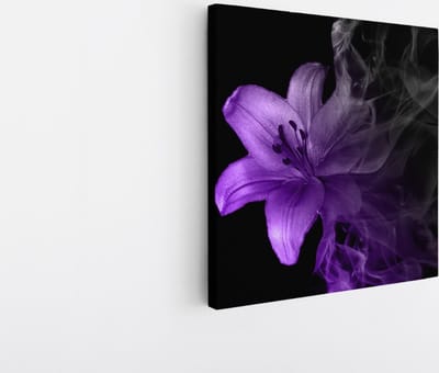 Saammp Canvas Schilderij - Paarse bloem - Natuur - 20x20 - Foto op canvas - Wanddecoratie - Muurdecoratie Woonkamer - Kantoor Decoratie
