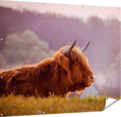 Gards Tuinposter Schotse Hooglander Koe Ligt in het Gras - 150x120 cm - Tuindoek - Tuindecoratie - Wanddecoratie buiten - Tuinschilderij
