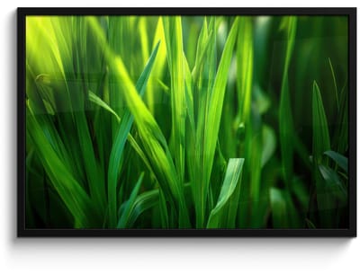 Poster in lijst - Fotolijst 90x60 cm - Posters - Grassprieten - Lichtinval - Groen - Posterlijst zwart - Decoratie - Wanddecoratie woonkamer - Muurdecoratie slaapkamer
