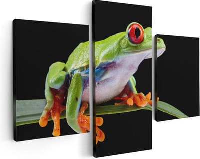 Artaza Canvas Schilderij Drieluik Kikker met Rode Ogen op een Plant - 90x60 - Foto Op Canvas - Canvas Print
