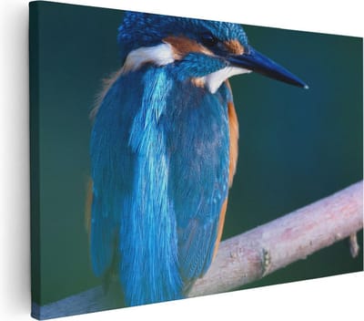 Artaza Canvas Schilderij IJsvogel - 60x40 cm - Wanddecoratie Vogels - Muurdecoratie Dieren - Schilderijen Op Canvas