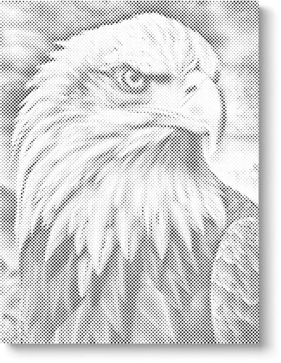 Adelaar | Dot painting | 30x40cm | Dot painting | Oh My Dotz | Dots stippen | Diamond painting & Schilderen op nummer alternatief | Happy hobby