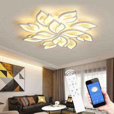 Dimbare LED Plafondlamp met Afstandsbediening | Kleurveranderende Plafondverlichting voor Woonkamer en Slaapkamer