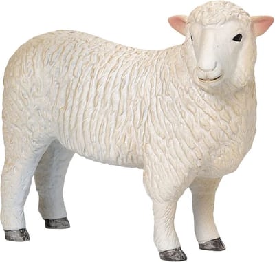 Mojo Farmland Romney Schaap Ooi - 381064
