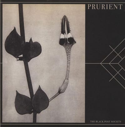 Prurient - The Black Post Society (CD)