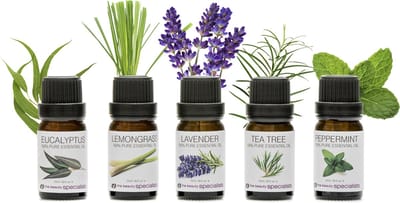 Rio Etherische Olie collectie - 5 geuren ( 5 x 10 ml)