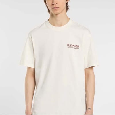 DICKIES DK0A87QKC481 Beige M EU