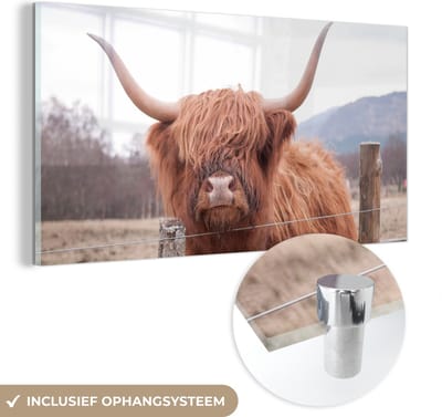 MuchoWow® Glasschilderij 40x20 cm - Schilderij acrylglas - Schotse Hooglander - Gras - Hek - Foto op glas - Schilderijen