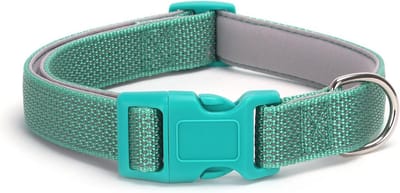 Reflecterende en Verstelbare Hondenhalsband van Nylon voor Kleine en Grote Honden