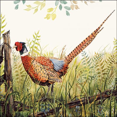 Ambiente papieren servetten Glorious pheasant 20 pcs 33 x 33 cm Fazant