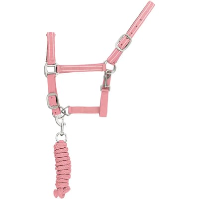 Reflecterende nylon halster en longe voor paarden Supreme