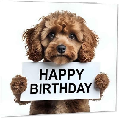 Leuke Verjaardagskaart met Hond Thema Vierkante Wenskaart