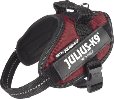 Julius K9 IDC Powertuig/Harnas - Mini-mini/40-53cm - XS- Bordeaux/Rood
