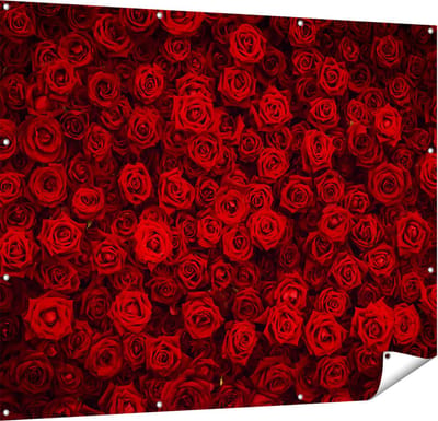 Gards Tuinposter Rode Rozen Achtergrond - 150x120 cm - Tuindoek - Tuindecoratie - Wanddecoratie buiten - Tuinschilderij