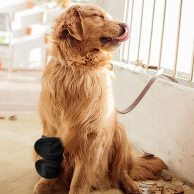 Hond en Kat Kniebandage voor Herstel na Chirurgie, Ondersteuning bij Artritis en Blessures, Maat M