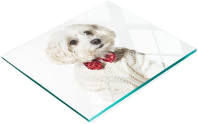 Multifunctionele decoratieve glazen snijplank voor de keuken, Maltezer hondje, 60x52 cm