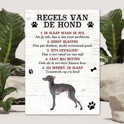 Spreuken - Italiaanse windhond - Regels Van De Hond - Spreuken Bordjes - Spreukenbord - Tekstborden - Cadeau - Hondenras