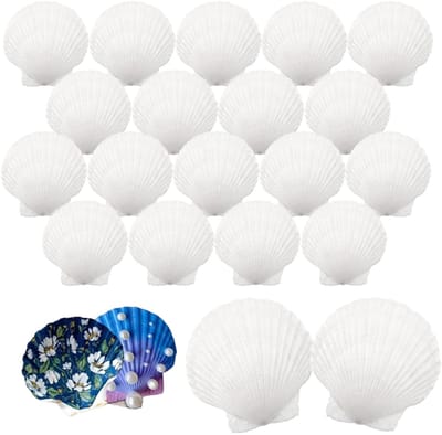 Witte Sint-Jakobsschelp 20 Stuks, 6-8cm Decoratieve Grote Schelpen voor Schilderkunst, Knutselset, Decoratie Bruiloftsfeest, Decoratie Oceaan Themafeest, Keukendecoratie
