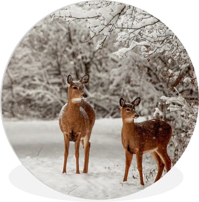 WallCircle - Wandcirkel 90x90 - Herten - Sneeuw - Bomen - Ronde schilderijen woonkamer - Wandbord rond - Muurdecoratie cirkel - Kamer decoratie binnen - Wanddecoratie muurcirkel - Woonaccessoires