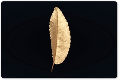 Placemats 45x30 cm - Placemat kunststof - 1 stuk - Bladeren - Black and gold - Luxe - Chic - Natuur - Borden onderleggers - Decoratie voor op tafel - Keuken tafeldecoratie accessoires - Vinyl onderlegger - Tafelversiering