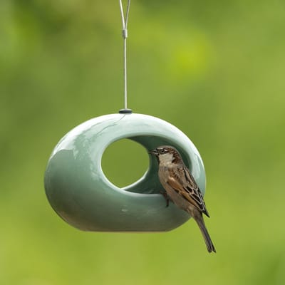 CJ Wildlife Vogeldrinkschaal voor Tuinvogels - Selo - Waterschaal voor Buiten - Keramische Drinkschaal - Hangend - Groen