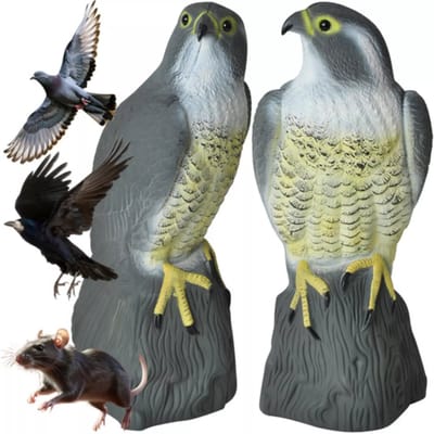 Repest Valk Vogelverschrikker - Realistisch en Diervriendelijk