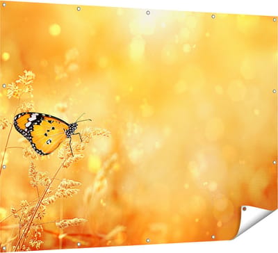 Gards Tuinposter Oranje Vlinder in het Oranje Veld - 160x120 cm - Tuindoek - Tuindecoratie - Wanddecoratie buiten - Tuinschilderij