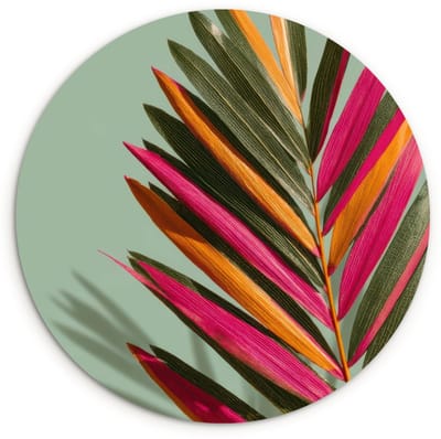 WallCircle® Wandcirkel 120x120 cm - Muurcirkel Tak - Bladeren - Kleurrijk - Schaduw - Muurdecoratie woonkamer - Wanddecoratie slaapkamer - Kamer decoratie accessoires - Ronde schilderijen XXL