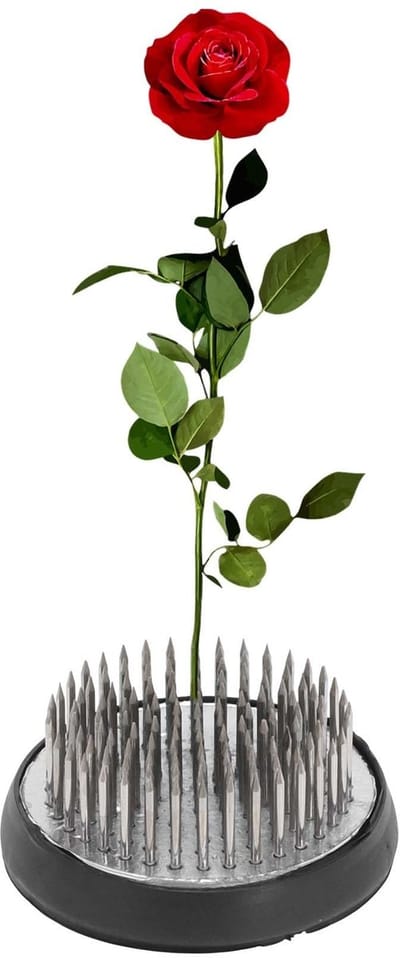 Dailygoods- Bloemenkikker Roestvrij Staal 50 mm - Kikkers met Stift - Bloemstukken - Tafelopzetstukken - Knutselwerk - Duurzaam Ontwerp - Bloemschikking