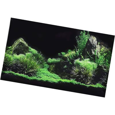 Aquarium Vis Tank Zeebodem Water Gras Achtergrond Decoratie Schilderij PVC Sticker 61 x 40cm