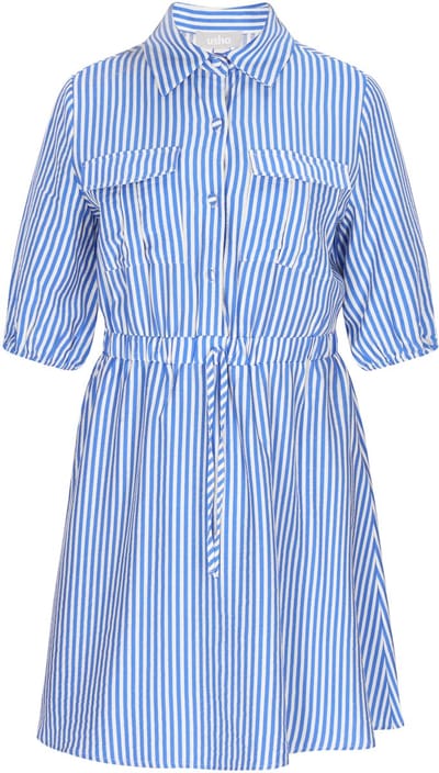 usha Dress