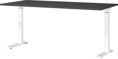 Bureau Galileo Wit - Grafiet - 160x80cm - Hoogte 91 cm - In hoogte verstelbaar