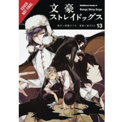 Bungo Stray Dogs, Vol. 13 - Bungo Stray Dogs - Bianca Pistillo