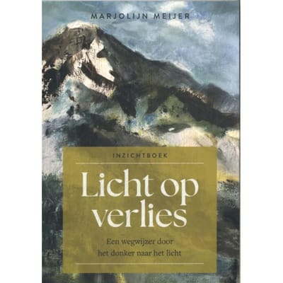 Licht Op Verlies - Marjolijn Meijer