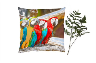 Sierkussens - Kussentjes Woonkamer - 40x40 cm - Vogels - Papegaai - Tropisch - Natuur