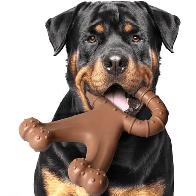2 Pièces Jouets pour Chiens en Forme de Corail Jouet à Mâcher Molaire Pour Races Moyennes et Grandes, Convient Pour l'Éducation et le Nettoyage des Dents 2PC marron