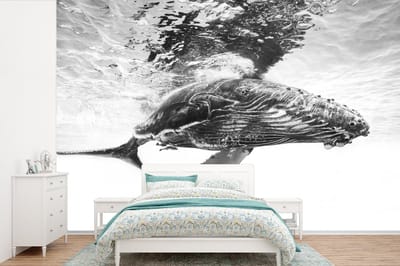 Behang - Fotobehang Walvis - Water - Dieren - Zwart wit - Breedte 360 cm x hoogte 240 cm