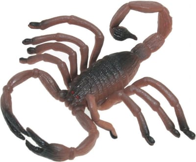 Plastic dieren schorpioenen 8 cm - Fopartikelen - Namaak insecten/dieren - Halloween en Horror thema