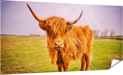 Gards Tuinposter Bruine Schotse Hooglander Koe - Kleur - 200x100 cm - Tuindoek - Tuindecoratie - Wanddecoratie buiten - Tuinschilderij