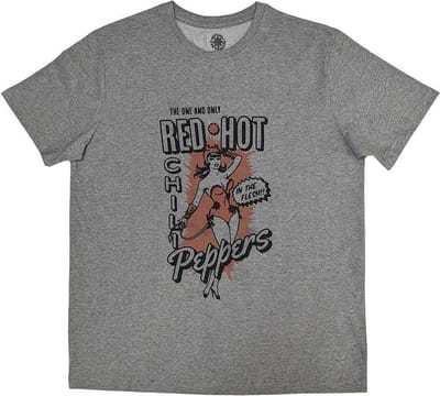 Red Hot Chili Peppers - In The Flesh Heren T-shirt - S - Grijs