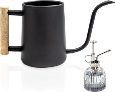 Stalen Gieter voor Binnenplanten met Lange Tuit - 1 Liter
