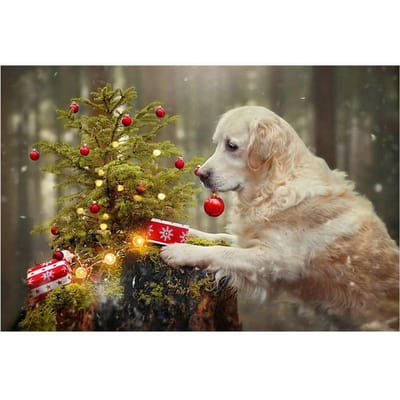Diamant schilderij hond en kerstboom landschap 5d diamant borduurwerk 20X30CM beige