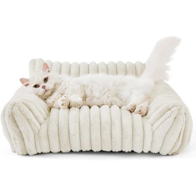Hondenbank Huisdierbank met Rugleuning Warm Zacht Bed voor Katten Kleine Honden