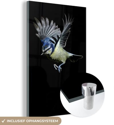 MuchoWow® Glasschilderij 120x180 cm - Schilderij acrylglas - Vogels - Veren - Zwart - Foto op glas - Schilderijen