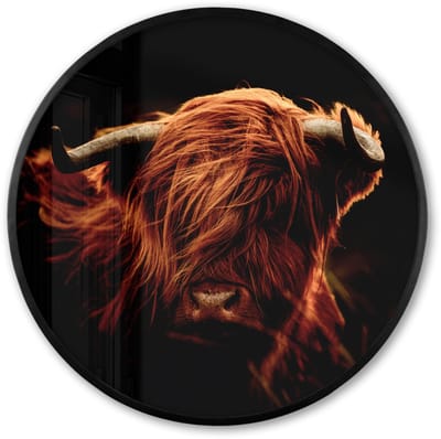 Poster in lijst Rond - Fotolijst 60x60 cm - Posters - Schotse hooglander - Koe - Hoorns - Portret - Dieren - Ronde posterlijst zwart - Decoratie - Wanddecoratie woonkamer - Muurdecoratie slaapkamer