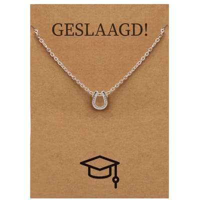 Cadeau Ketting: Geslaagd! - Hoefijzer voor Geluk Sieraad - Zilverkleurig - Gefeliciteerd - Pax Amare
