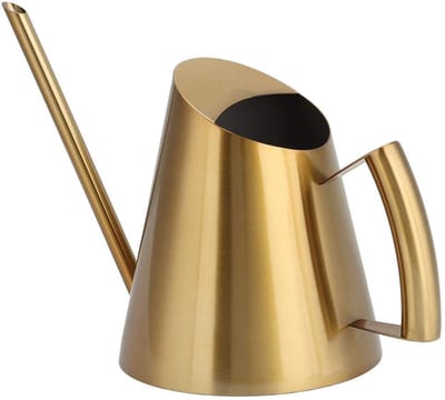 Dailygoods- Gieter 1500ml Roestvrij Staal - Gieter voor Binnen - Gieter voor Buiten - Gieter met Sproeikop - Gieter Klein - Tuin Gereedschap - Plantenwaterkan