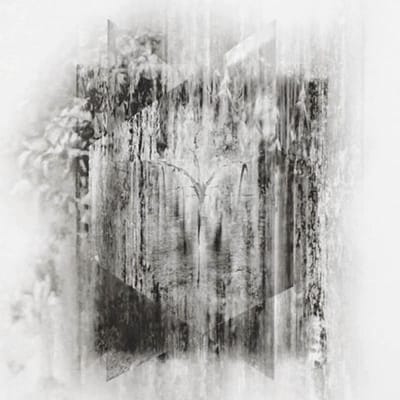 Three Point Circle - Fluorescent Grey (CD)